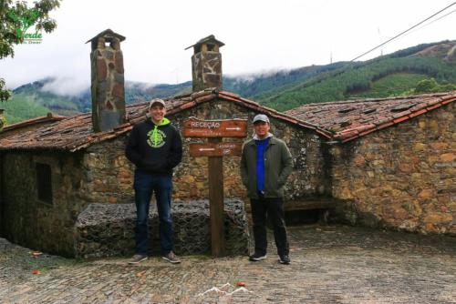 Veado Verde / Green Deer