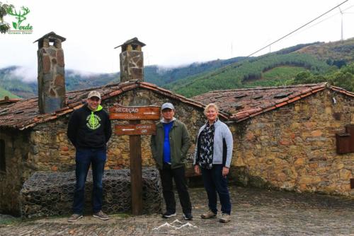 Veado Verde / Green Deer