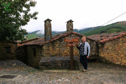 Veado Verde / Green Deer