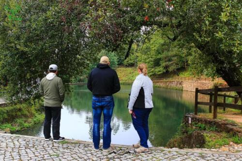 Veado Verde / Green Deer
