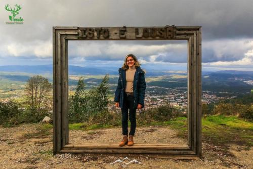 Veado Verde / Green Deer