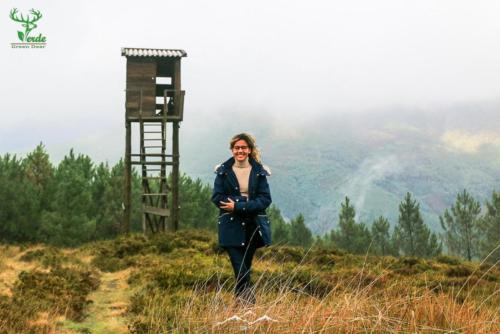 Veado Verde / Green Deer