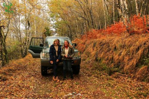 Veado Verde / Green Deer