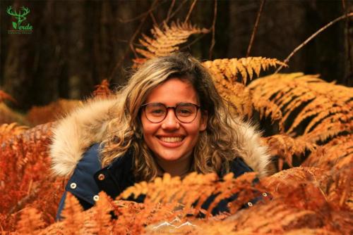 Veado Verde / Green Deer