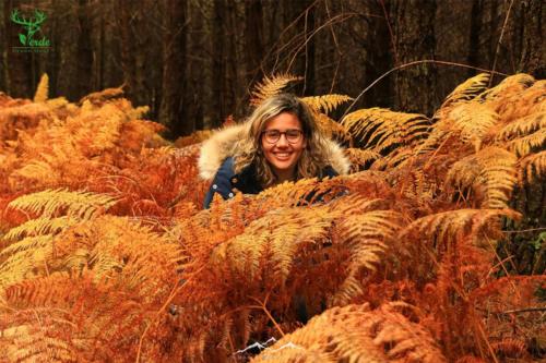 Veado Verde / Green Deer