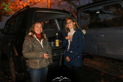 Veado Verde / Green Deer