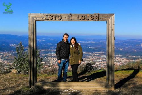 Veado Verde / Green Deer