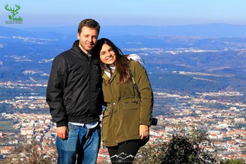 Veado Verde / Green Deer