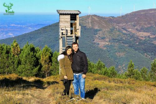 Veado Verde / Green Deer