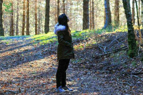 Veado Verde / Green Deer