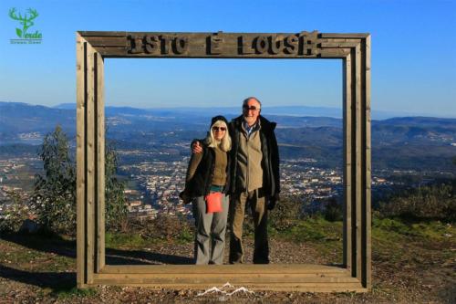 Veado Verde / Green Deer