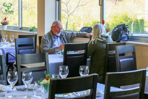 Veado Verde / Green Deer