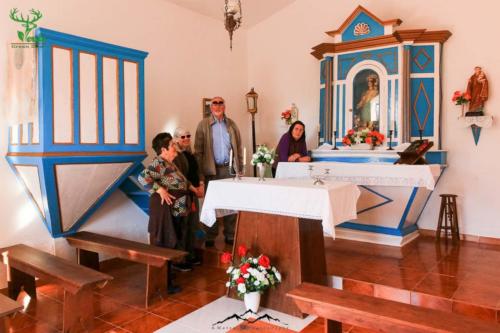 Veado Verde / Green Deer