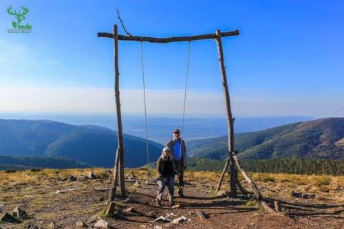 Veado Verde / Green Deer