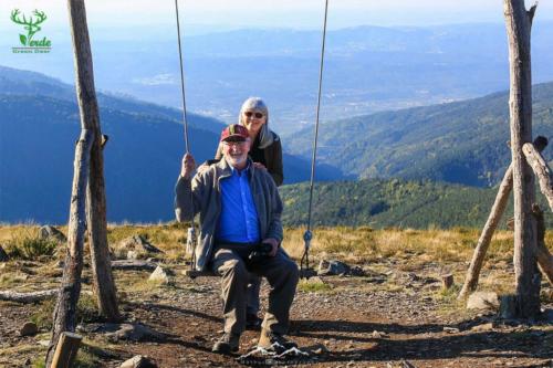 Veado Verde / Green Deer