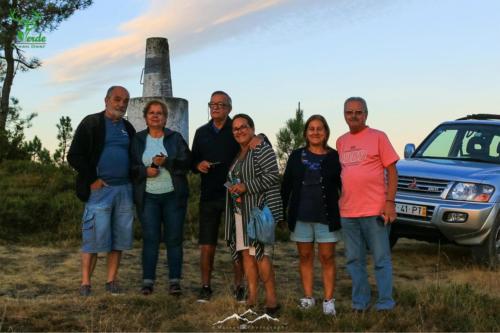 Veado Verde / Green Deer