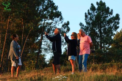 Veado Verde / Green Deer