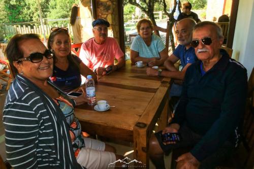 Veado Verde / Green Deer