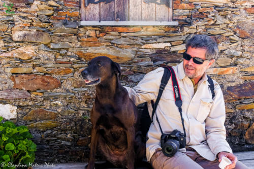 Veado Verde / Green Deer