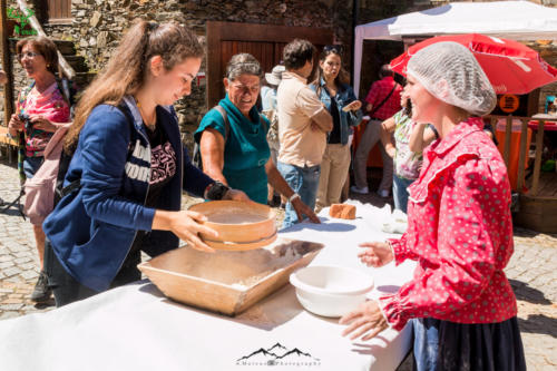 Veado Verde / Green Deer