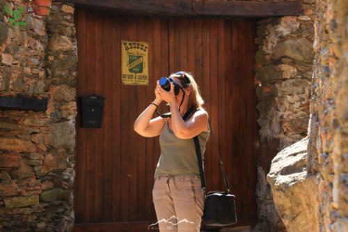 Veado Verde / Green Deer