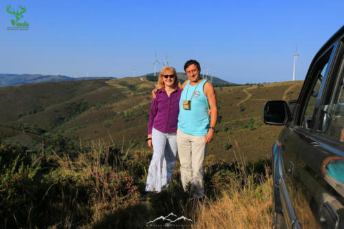 Veado Verde / Green Deer